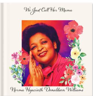 Book cover: We Just Call Her Mama
